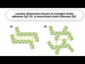 Boiling Point of Alkanes Explained | Chain Length vs Branched Isomers