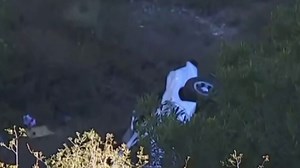 Video shows rescue of woman who was trapped in car down California cliff