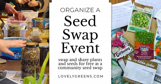 12 Useful Tips for Organizing a Seed Swap