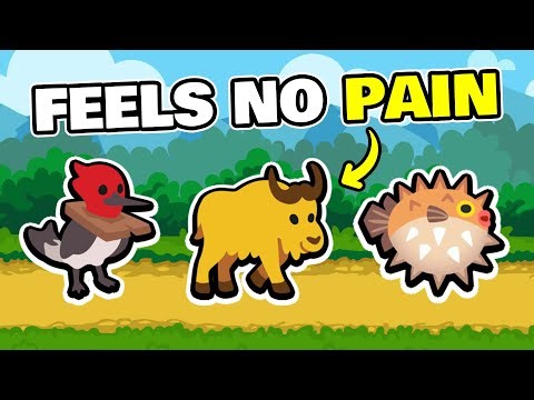 Takin One for the Team - Super Auto Pets