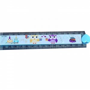 [Hot Item] 30cm Plastic Foldable Scale Ruler with Custom Logo