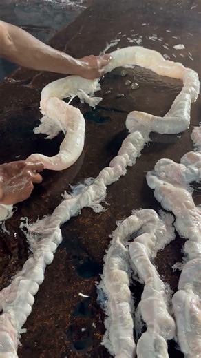 How to Clean Pig’s Intestine Properly | Step-by-Step Guide #butcherskills #pigintestine #porkcuts