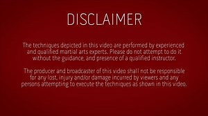 11K views · 294 reactions | ‘Semangat Tuah‘ - Harimau Berantai Silat...