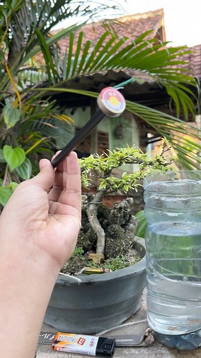 What happens if a top firecracker lights up in water? #Experiment #crackers #ReelFB #FYPFacebook #ViralReels #ExplorePage #SafeScience #reelschallenge @sorotan | Oppenheimer Jr.