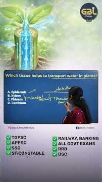 Plant Tissues MCQ | Transport of Water in Plants | Biology PYQ | TGPSC APPSC SSC