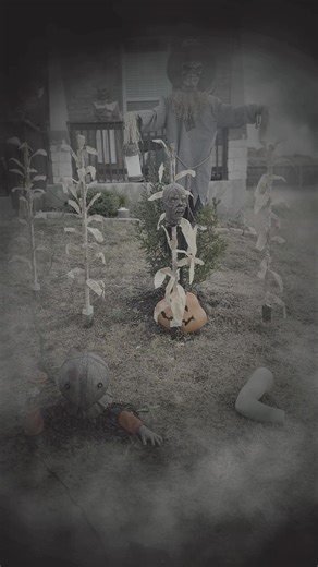 Woow he failed at the end  | Lion Pest Control | Facebook