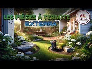 Éradication Efficace des Termites avec BEST TERMITES et le Système EXTERRA