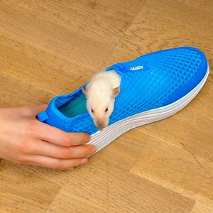 Smart organization hacks you should try 🤩 | 5-Minute Crafts