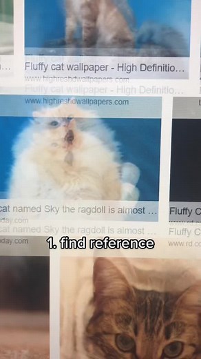 Crea tu morph de Wcue en Warrior Cats