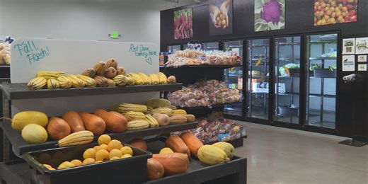 How to check a charity before you give