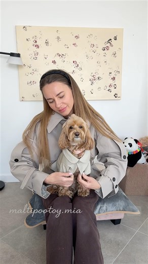 In Italia ci sono già più cani che bambini… #dog