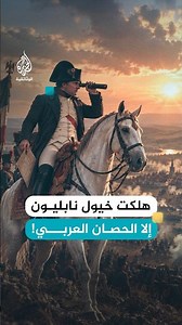 كلها ماتت إلا الحصان العربي الصامد في ثلوج روسيا