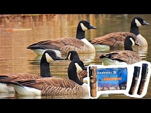 Kick's High Flyer Full vs. Carlson's Long Range vs. Carlson's Mid Range