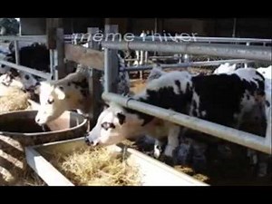 L'agriculture durable