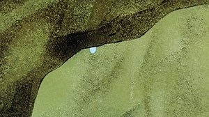 The Yogi Bear Show - S02E10 - Yogi in the City - Legal Eagle Lion - Hasty Tasty (November 18, 1961)