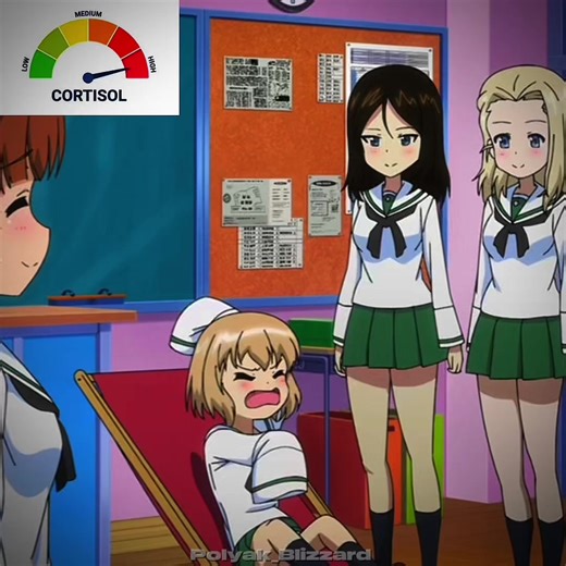 Top Recommendations for Girls Und Panzer Fans