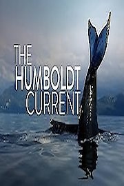 Watch The Humboldt Current Season 1 Episode 2 - Renewal