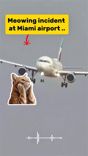 Airport Emergency: What ATC & Pilots Do