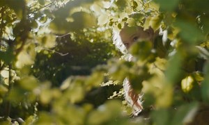 The Magic Faraway Tree - Cinema, Movie, Film Review  - Entertainment.ie