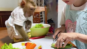 Baby Monkey Good Morning From DouDou Breakfast Cooked By Mom | TV Monkey