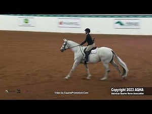 2023 AQHA World Championship Show Amateur Hunter Hack