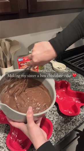 Triple Chocolate Box Cake Recipe for My Sister