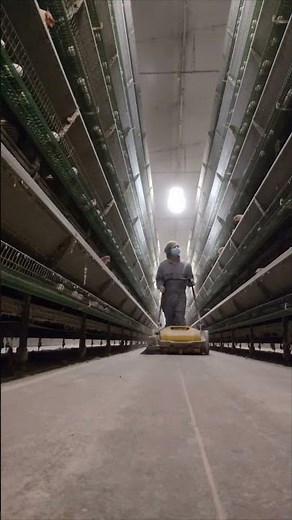 Japan Livestock Chicken Farming