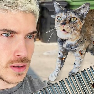 I Trapped & Rescued a Pregnant Cat Off the Street | Joey Graceffa