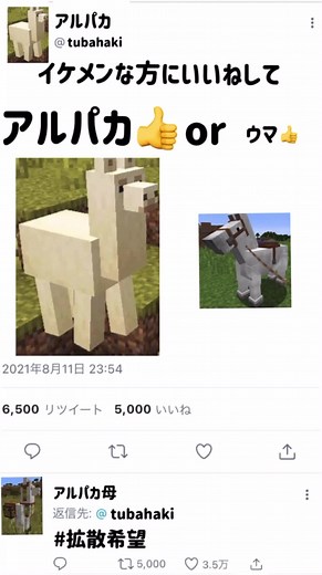 Exploring Twitter and Minecraft Interactions