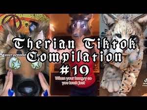 Therian Tiktok compilation 19!