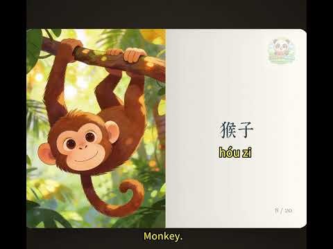 Learn 15 Chinese Animal Words (With Pinyin & Pronunciation) 用中文怎么说动物名称