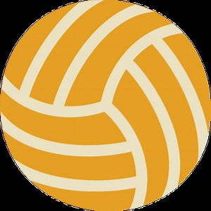 Wisconsin Volleyball Team Leaked Scandal