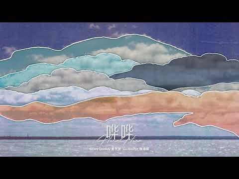 Crazy Donkey - Hua Hua 哗哗 (feat. Anoryz 林渝植)