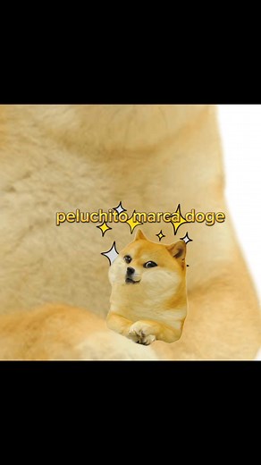 #CapCut #fyp #hilosconcheems #tiktok #falso #foryou #random #doge #parati #humor #CapCut #xd #cheems #hilos