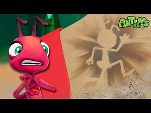 Fire-Cracker Ants Have a Blast! 🧨 | 🐜 Antiks 🐜 | Funny Cartoons for Kids | Moonbug