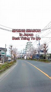 Spring Season in Japan 🌸💕🥰 | Japan Explore