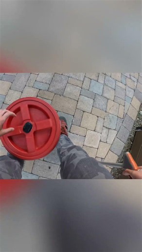 Western Diamondback Rattlesnake visited a home