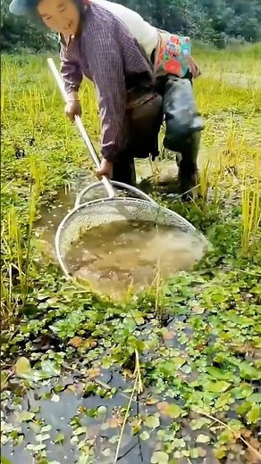 Simple techniques for catching small fish