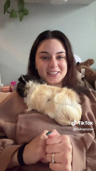 Bonding With My Rude Guinea Pig