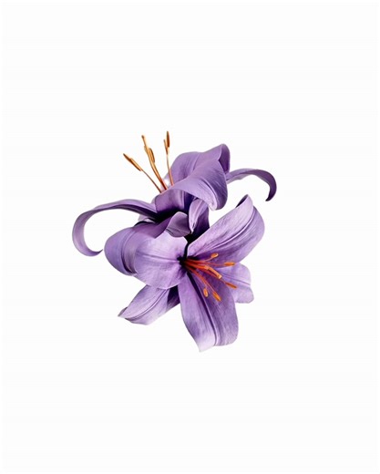 Raindance Lyrics Tutorial: Learn the Popular Song