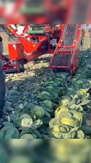 105K views · 106 reactions | Different ways to harvest their crops using advanced technology. #reelsviralシ #farming #harvestingtechnology #fbreelsfypシ゚viral #fbpostreelsviral #fbpostreels #reelsfbviral #reelstrending #reelsvideo #fbpostviral #fbpost #everyone #followers | Farming Techniques | Facebook