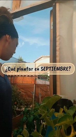 😱Atentos!👇 ¿No sabes qué sembrar en septiembre? 🌱 Este mes es ideal para preparar tu huerto de OTOÑO y disfrutar de cultivos resistentes al frío. 👉 En septiembre puedes sembrar: rabanitos, zanahorias, acelgas, espinacas, lechugas, brócoli, coliflor, guisantes, habas, cebolla temprana ¡y mucho más! 🥕No te pierdas el video entero 🥦🌿 📩 Escribe la palabra OTOÑO y te envío el eBook GRATIS 📖 para preparar tu huerto de OTOÑO, acuérdate de seguirme para poder recibirlo. 💚 No te olvides: ✔️ Seg