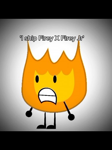 Understanding the BFDI Community and Shipping Culture