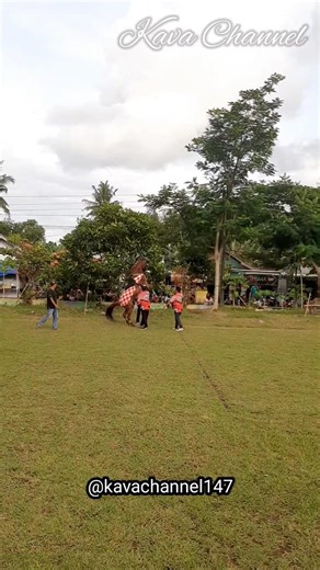 Horse Jumping Event #minivlog #kudajingkrakpurworejo