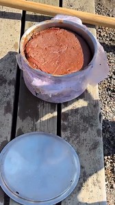 4.2K views · 64 reactions | In Iceland, try the bread you can’t make back at home (unless you live near hot springs). This is lava bread: a traditional Icelandic bread baked in the ground using the land’s geothermal heat. See how it’s made and taste it on our Best of Iceland tour!  Traveling With Sweeney https://bit.ly/43ChKHo | Collette | Facebook