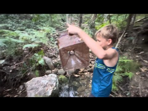 Is this the rarest yabbie in WILD Australia?! Part 3