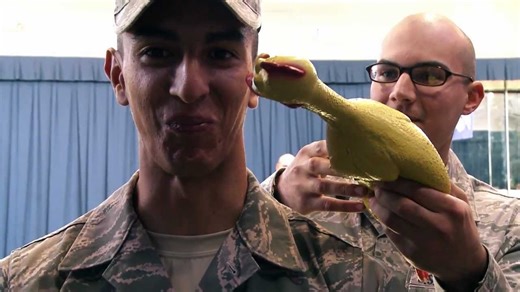 Hilarious USAF rubber chicken bearing test.