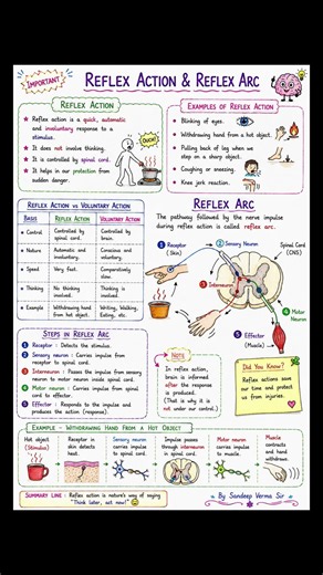 Class 10 Science Chapter 6 Control and Coordination | Complete Handwritten Notes | One Shot Revision