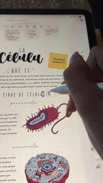 Apuntes Digitales Bonitos para Universitarios