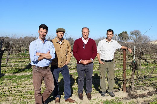 What Growers Should Know about the “New" National Raisin Company, After Chilean Purchase - California Ag Network
